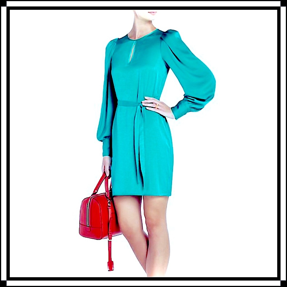 BCBG MaxAzria “Miri” Dress (EUC)